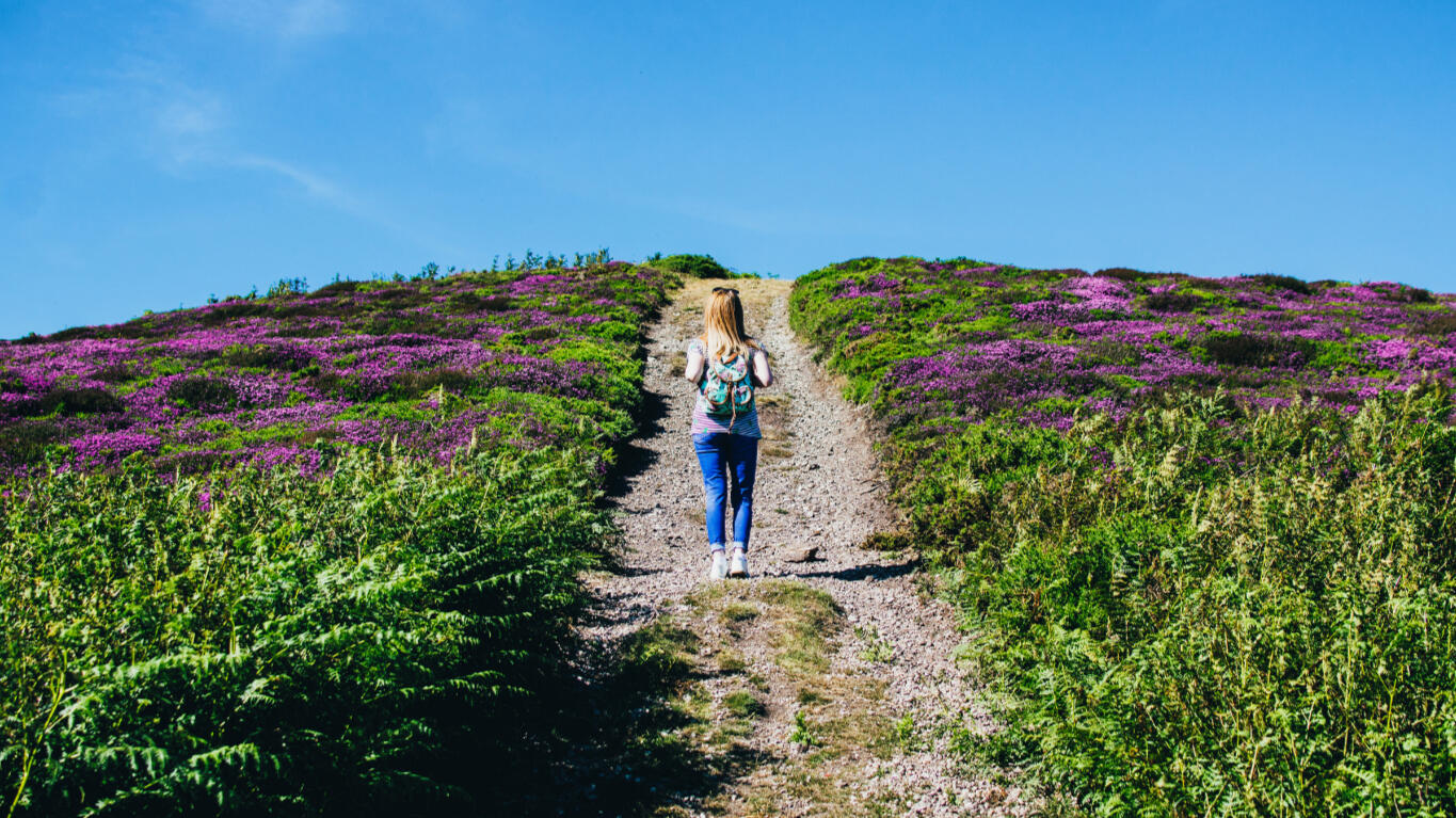 Woman walking up a scenic trail surrounded by blooming purple flowers and green bushes under a blue sky about to embark on the journey that is counseling and art therapy.